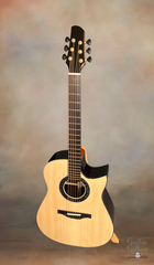 Aboudib MD guitar at GuitarGal.com