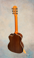 Buscarino Cabaret Nylon string guitar full back view