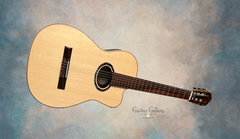 Buscarino Cabaret Nylon string guitar glam shot