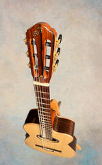 Buscarino Cabaret Nylon string guitar glam shot from headstock