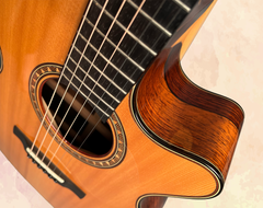 Claxton EMc Brazilian rosewood guitar detail