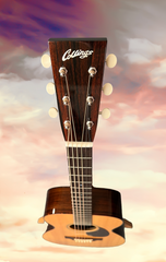 Collings 01RW G guitar at GuitarGal.com