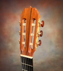 Druzhinin Classical guitar headstock