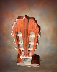 Druzhinin Classical guitar glam shot headstock