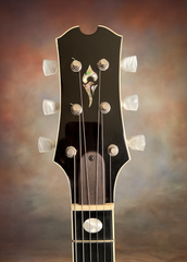 Forshage Grande Archtop abalone logo