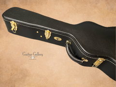 Froggy Bottom model C Dlx guitar case
