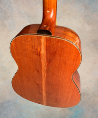 Rein RJN-5 Plum Pudding Mahogany guitar back