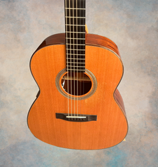 Rein RJN-5 Plum Pudding Mahogany guitar Cedar top