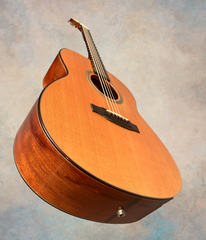 Rein RJN-5 Plum Pudding Mahogany guitar glam shot front