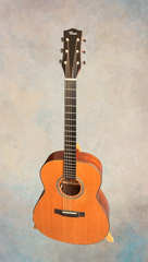 Rein RJN-5 Plum Pudding Mahogany guitar for sale