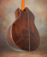 Wilborn MultiScale Brazilian Rosewood Guitar