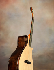 Wilborn MultiScale Brazilian Rosewood Guitar